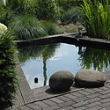 Earth Quaque Gardens: water
